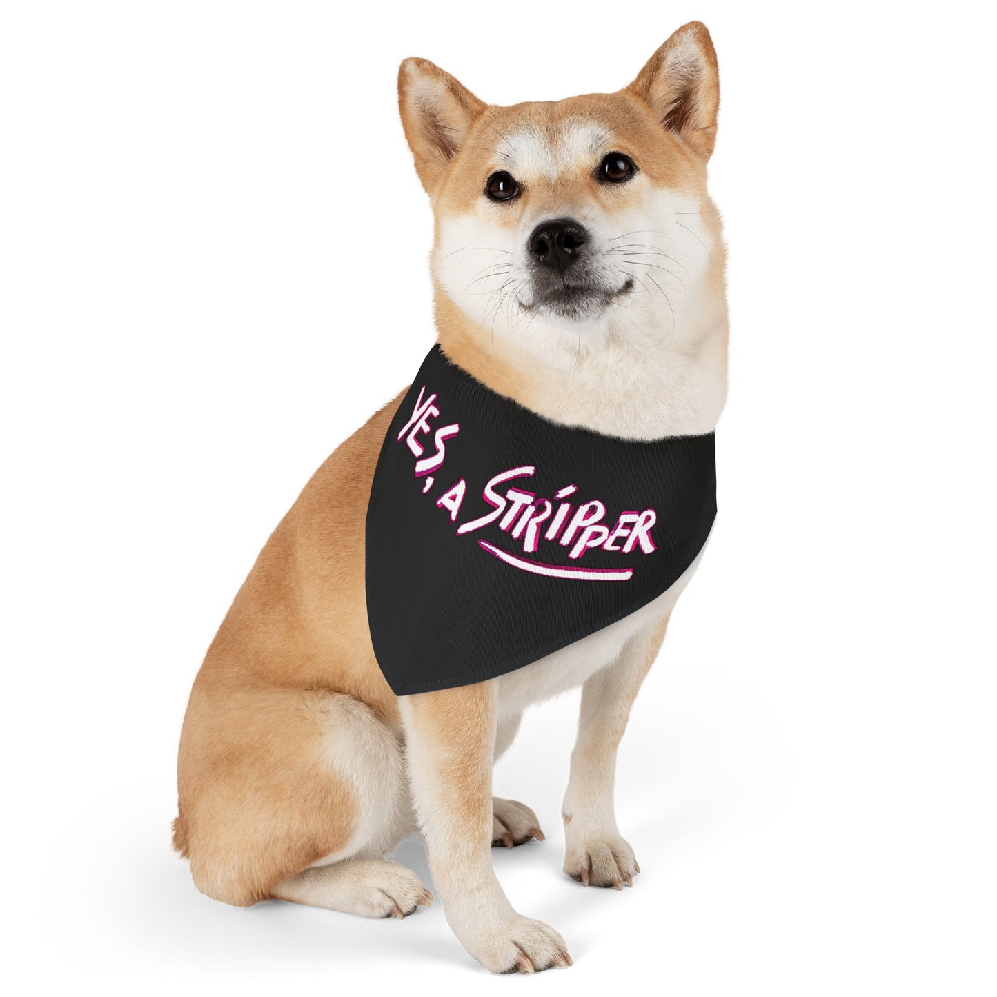 Yes, a Stripper Doggie Bandana